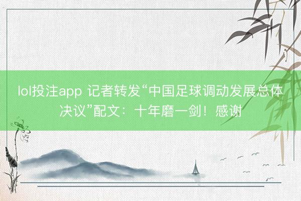 lol投注app 记者转发“中国足球调动发展总体决议”配文：十年磨一剑！感谢