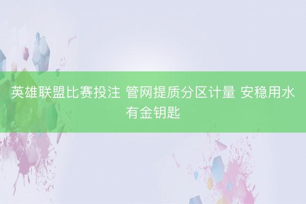 英雄联盟比赛投注 管网提质分区计量 安稳用水有金钥匙